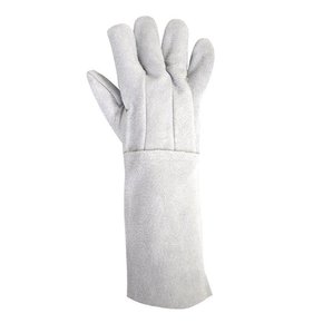 whatsapp image 2024 01 29 at 10 43 22