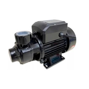 whatsapp image 2025 11 12 at 15 55 33